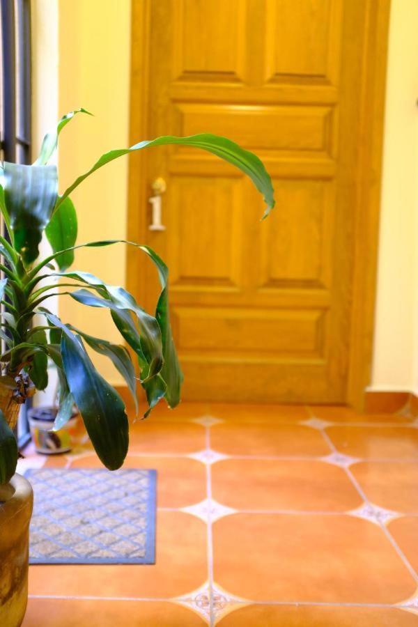 Pozzito Boutique Bed and Breakfast San Miguel de Allende Exterior foto