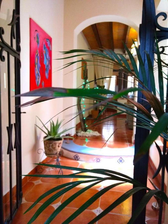 Pozzito Boutique Bed and Breakfast San Miguel de Allende Exterior foto